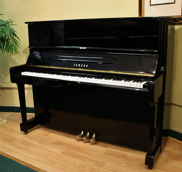 dan piano dien