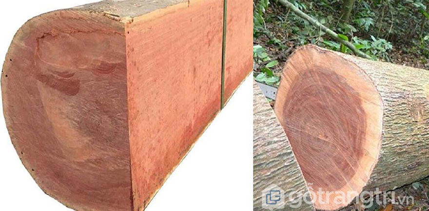 gỗ xoan đào